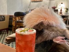 荔枝冰酿-春风·有糖(崇宁路店)