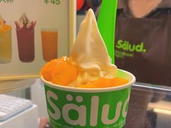 -Salud撒露欧洲冻酸奶(蓝色港湾店)