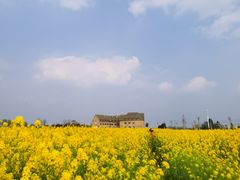 -中国天府农业博览园