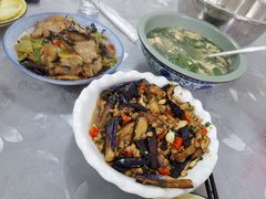 -遇龙河大樟树农家乐