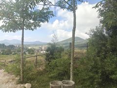 -大姆山草场