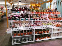 -KKV(深圳宏发大仟里店)