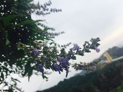 -尧山风景区