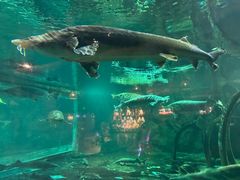 -华夏文旅海洋公园