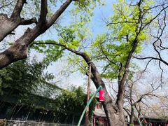 -关中书院