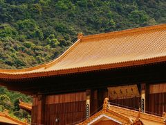 -深圳仙湖植物园