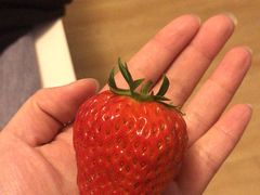 -鲜力达果品批发直销(青山店)