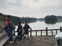 景点-三圣花乡旅游区