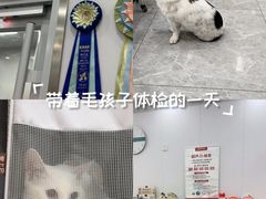 -艾贝尔宠物医院·宠保定点·超声绝育·免疫点(樱花路店)
