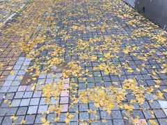 -大叔家福鼎小吃(十全街店)