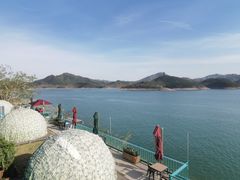 -望湖烤鱼