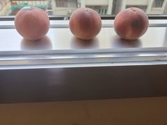 -油麻地果栏