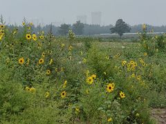 -汉长安城未央宫国家考古遗址公园