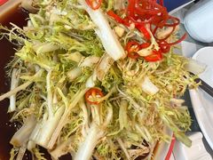 凉拌苦菊-快乐海鲜酒楼(滇池路店)