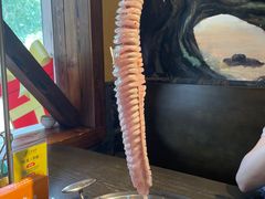 -土著渔匠·养生蝴蝶鱼(香樟路店)