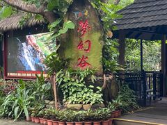 -呀诺达热带雨林