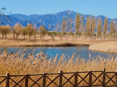 -野鸭湖国家湿地公园