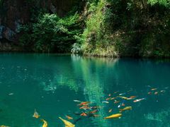 -严子陵钓台(富春江小三峡)