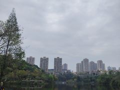 -重庆彩云湖湿地公园