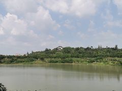 -广东花都湖国家湿地公园