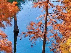 -白鹭湾湿地公园