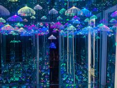 -星空失恋博物馆(北京路旗舰店)