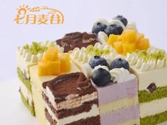 -维尔纳斯·生日蛋糕·动物奶油冰淇淋蛋糕(六里桥店)
