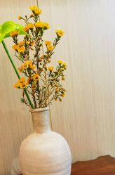 -铂诗玥医美