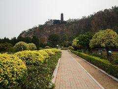 -南沙蒲洲花园