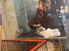 -e嘉宠物店(北大街店)