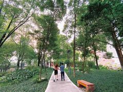 -成都市活水公园