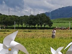 -光明小镇欢乐田园
