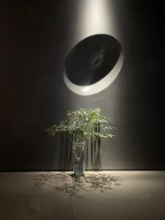 点击看大图 -美壹生皮肤管理中心