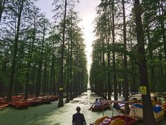 -渌洋湖湿地公园