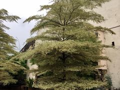 -文龙国际健身院