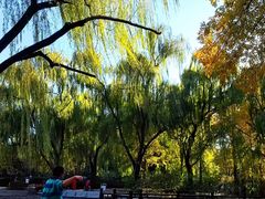 -玲珑塔公园