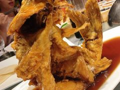 糖醋鲤鱼-城南往事·鲁菜济南菜(软件园美莲广场店)