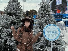 -汕头中海黄金海岸水上乐园