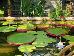 -国家植物园南园