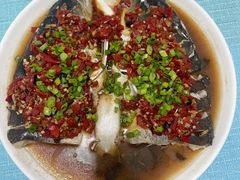 -天鹅到家·保姆月嫂育儿嫂(总店)