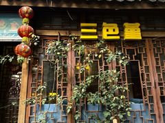 -三色堇(小通巷店)