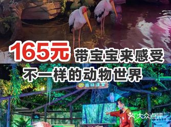 165元带宝宝来感受不一样的动物世界