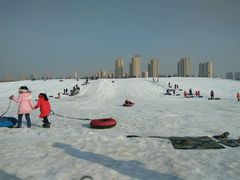 -丁香湖公园