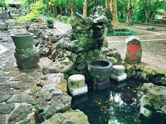 -海口火山口国家地质公园