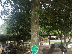 -侯臣咖啡文化村