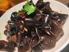 爽口小木耳-蛙喔牛蛙(义乌新光汇店)