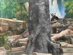 -灵玲国际马戏城