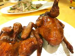-鸽王世家(东华东路店)