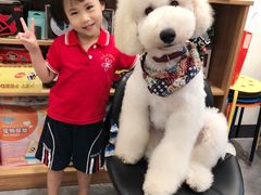 -小尾巴宠物店(万科·金域华庭店)