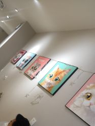-洗脸猫·洗脸吧